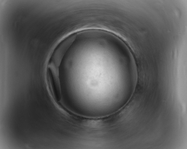 X0000090621519200707171426