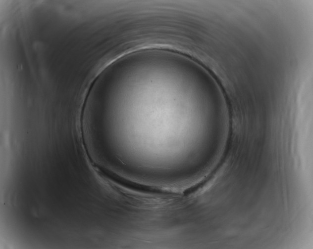 X0000090621521200707171426