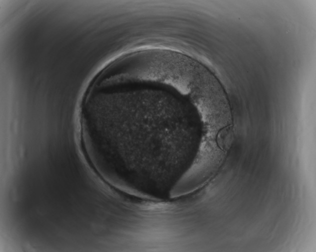 X0000090621522200707171426