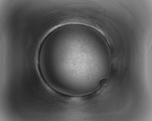 X0000090621523200707171426
