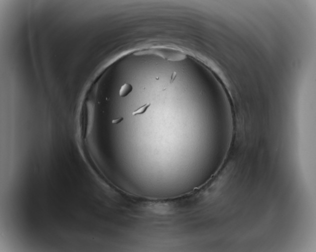 X0000090621525200707171426