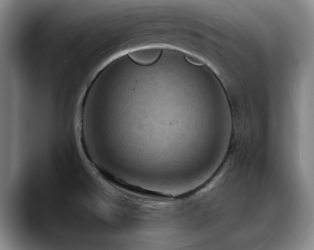 X0000090621526200707171426
