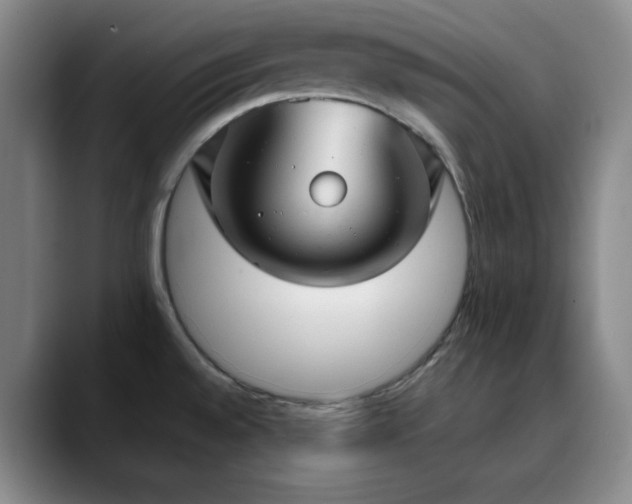 X0000090621528200707171426