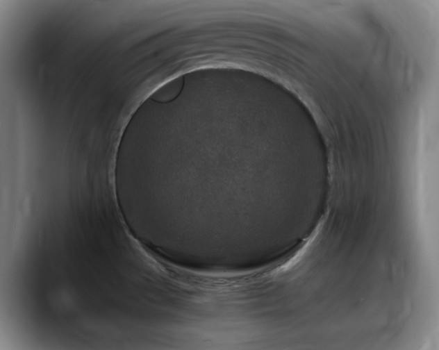 X0000090621529200707171426