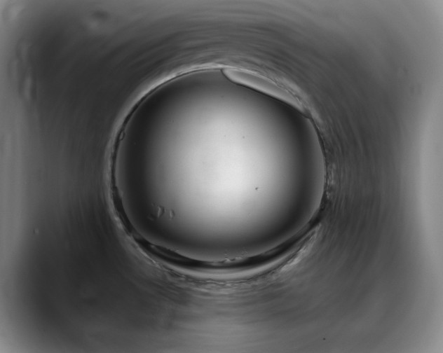 X0000090621530200707171426