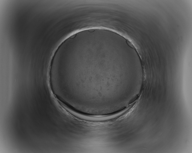 X0000090621534200707171426