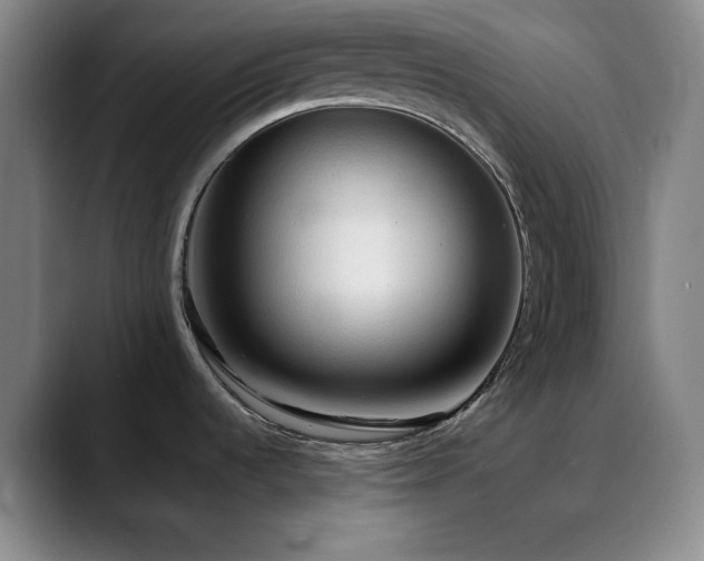 X0000090621536200707171426