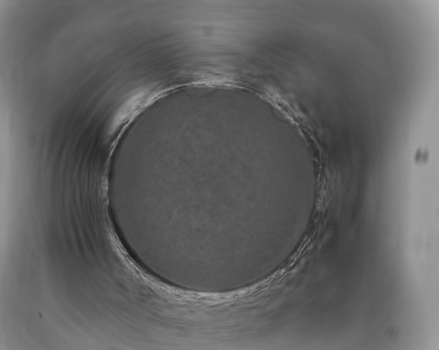 X0000090620002200707241140