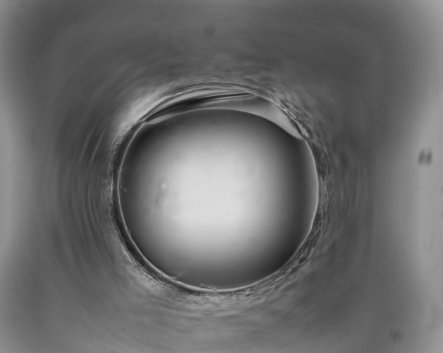 X0000090620005200707241140