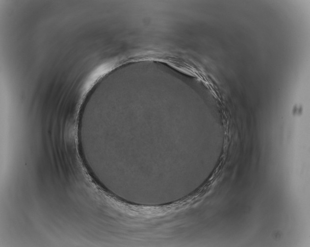 X0000090620006200707241140