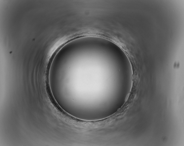 X0000090620007200707241140