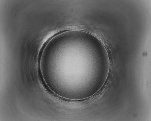 X0000090620008200707241140
