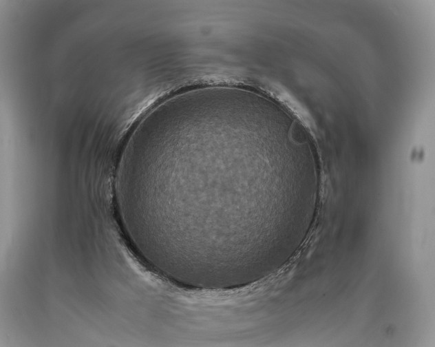 X0000090620009200707241140