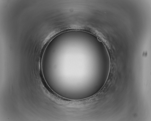 X0000090620011200707241140