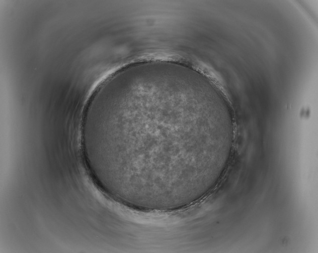 X0000090620012200707241140