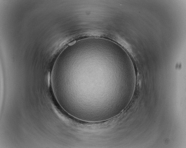 X0000090620013200707241140