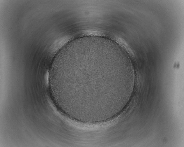 X0000090620014200707241140