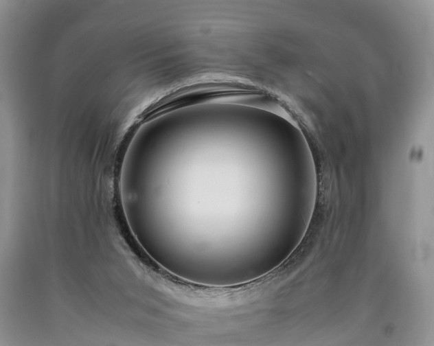 X0000090620015200707241140