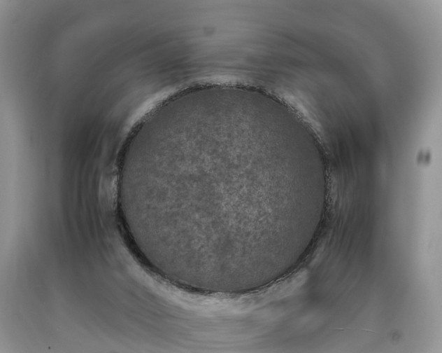 X0000090620016200707241140