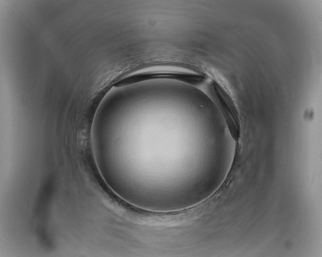 X0000090620017200707241140