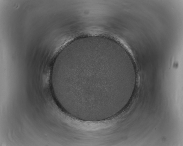 X0000090620018200707241140