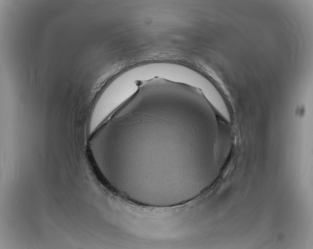 X0000090620019200707241139