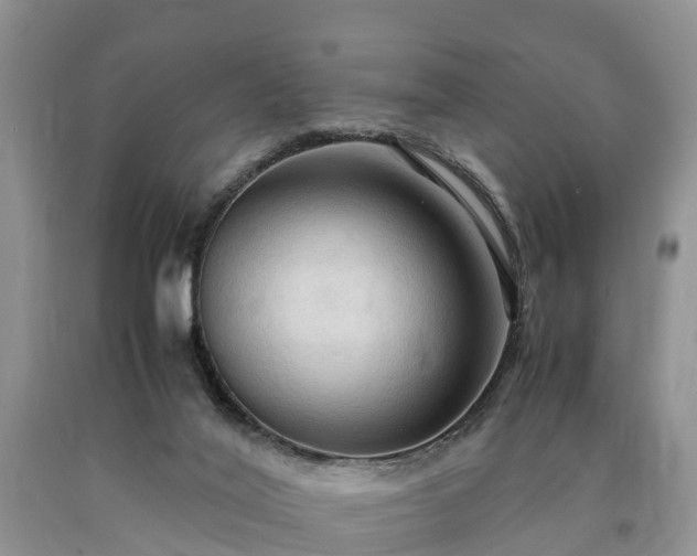 X0000090620020200707241139
