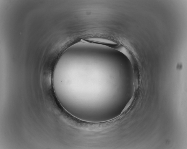 X0000090620021200707241139