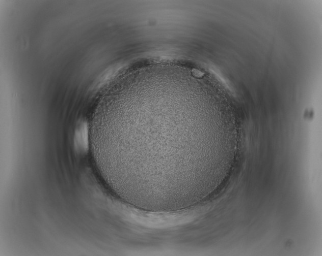 X0000090620022200707241139