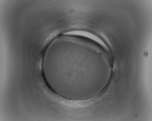 X0000090620023200707241139