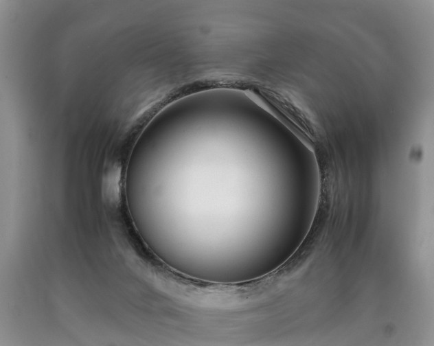 X0000090620024200707241139