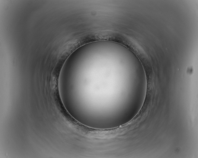 X0000090620025200707241139