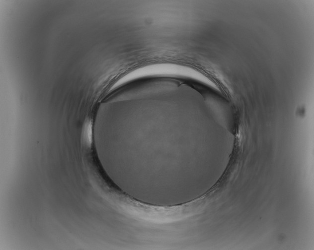 X0000090620027200707241139