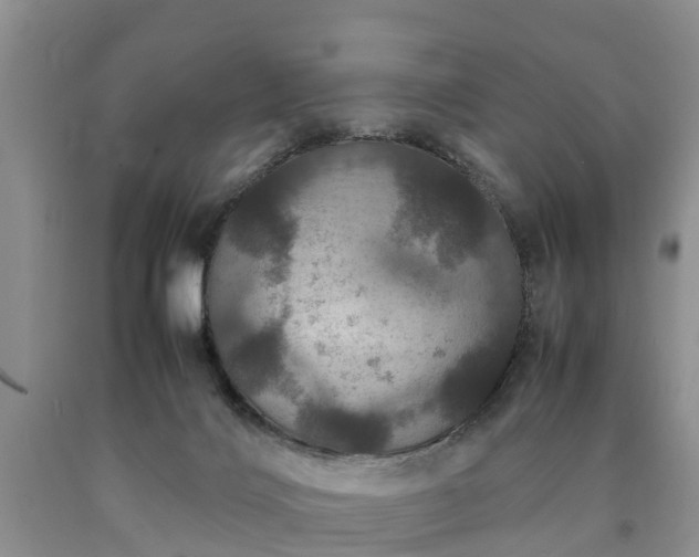X0000090620028200707241139