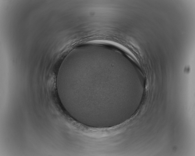 X0000090620029200707241139
