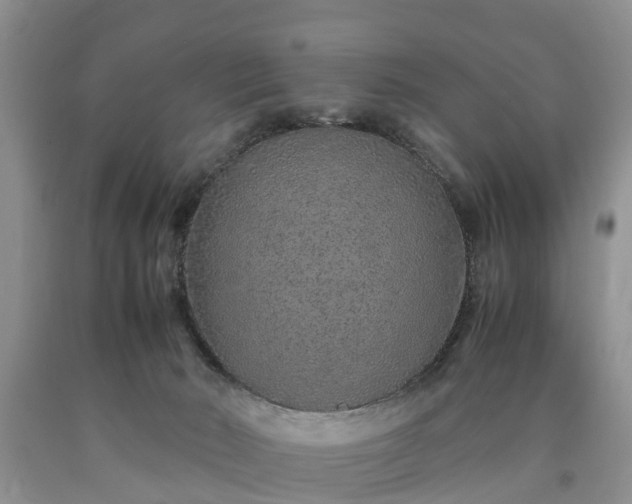 X0000090620030200707241139