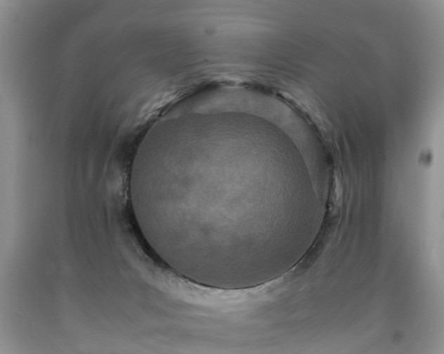 X0000090620031200707241139