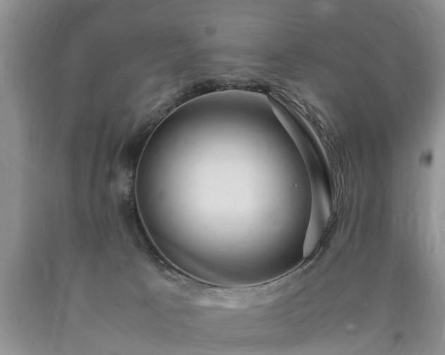 X0000090620033200707241139