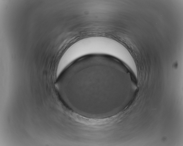 X0000090620035200707241139