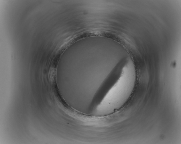 X0000090620036200707241139