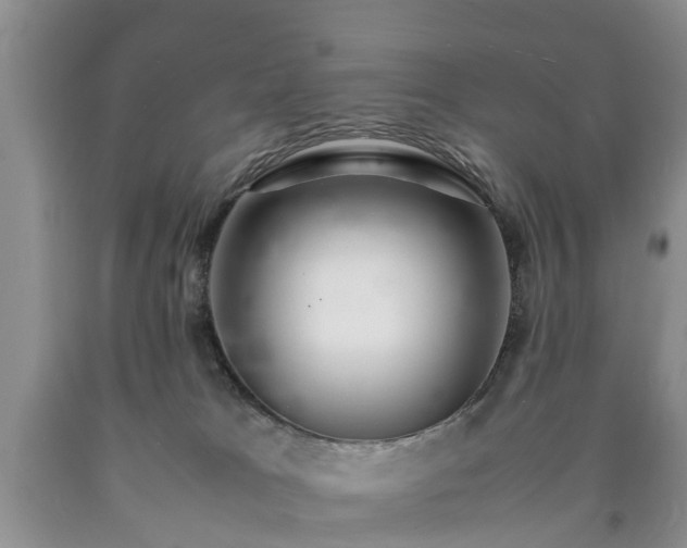 X0000090620037200707241139