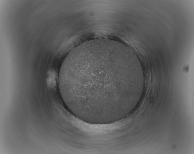 X0000090620038200707241139