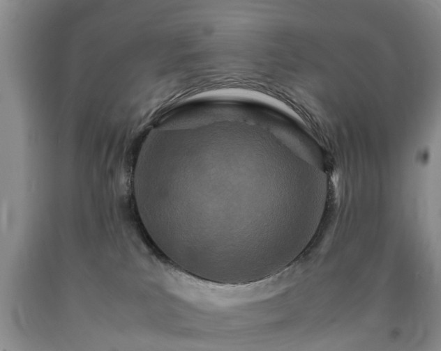 X0000090620039200707241139