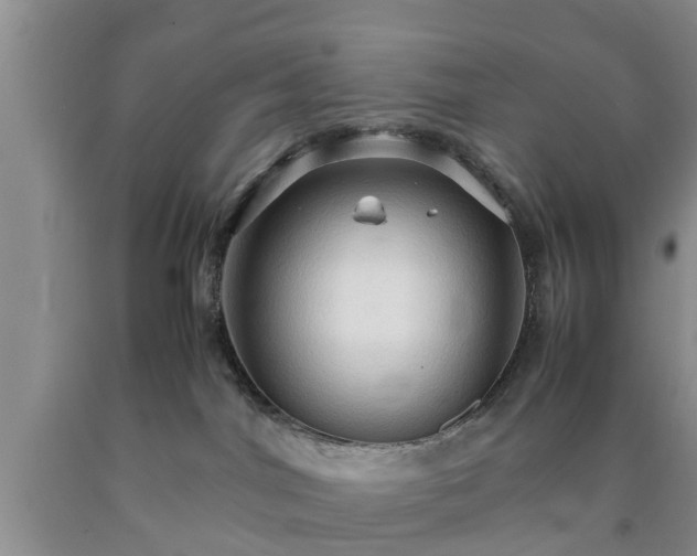X0000090620044200707241139