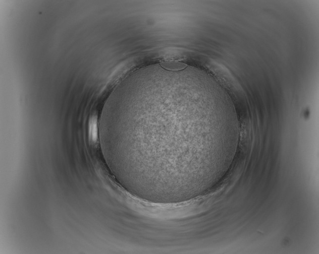 X0000090620046200707241139