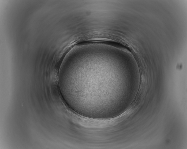 X0000090620048200707241139