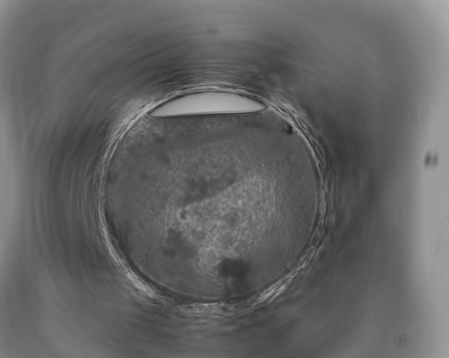 X0000090620049200707241138