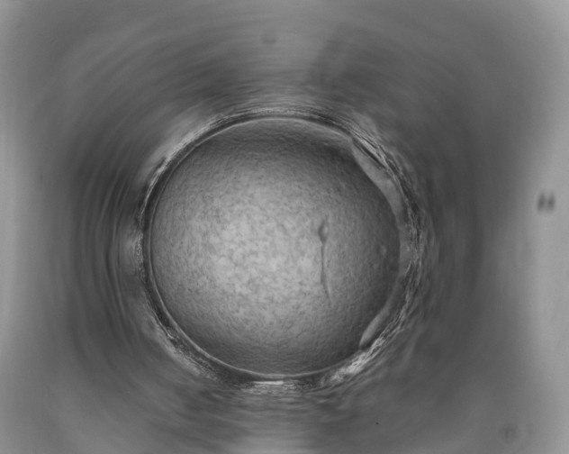 X0000090620050200707241138