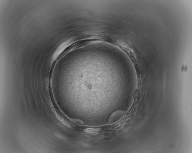 X0000090620051200707241138