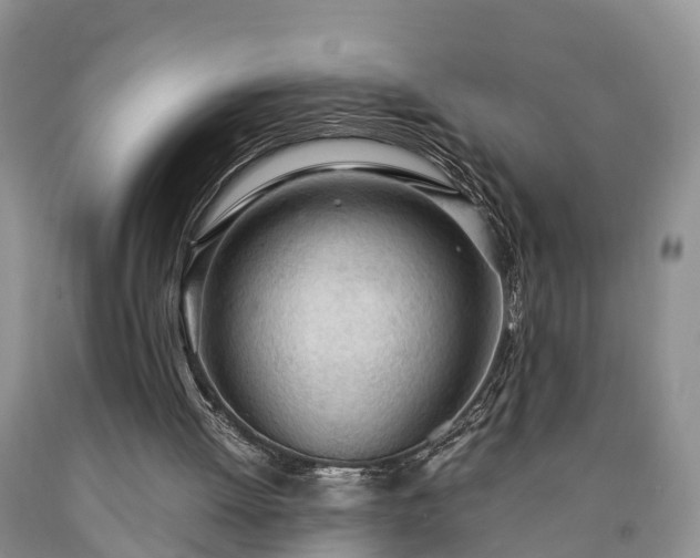 X0000090620052200707241138